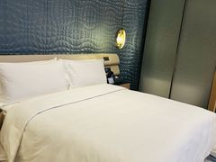 -深圳国际会展中心希尔顿酒店(前海华发冰雪世界店)
