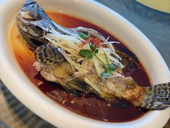 清蒸青斑鱼-皇朝海鲜酒店
