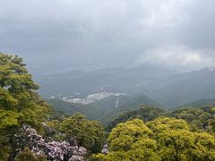 -梧桐山风景名胜区