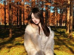 -黄海国家森林公园