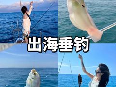 -东澳岛