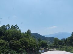 -天强农家菜馆