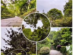 -杭州半山国家森林公园