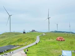 -龙里油画大草原旅游区