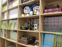 -常青藤国际象棋(新奥店)