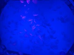 -沈阳海洋探索中心