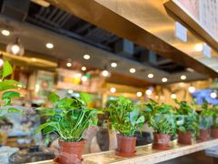-烹然四季椰子鸡火锅(团结湖总店)