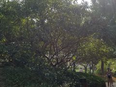 -仁爱团泊湖温泉中心
