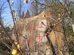 -无锡梅园公园