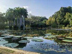 -中国科学院西双版纳热带植物园
