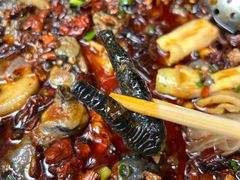 -黑竹香鸡(营和巷店)