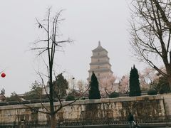 -大雁塔北广场音乐喷泉
