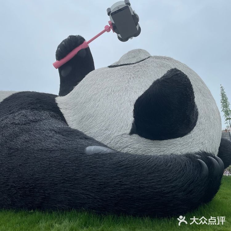 成都|三天自由行