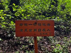 -寂照庵