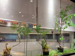 -吉庆莲年有鱼炭烤鱼(苏宁广场店)