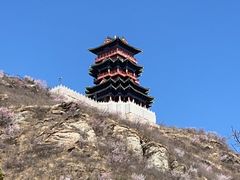 -定都阁