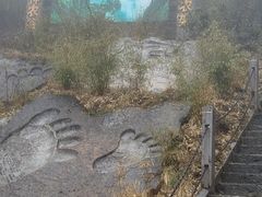 -神农架景区
