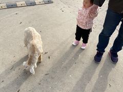 -1982农场