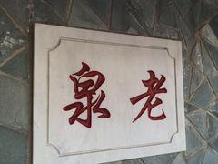 -小慧大桃观光采摘园