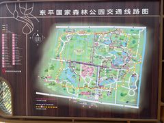 -东平国家森林公园