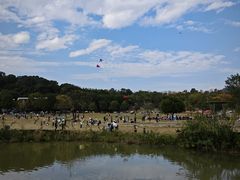 -牛岗山公园