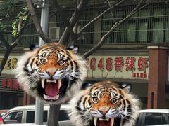 -2048香辣虾(七星岗店)