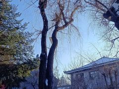 -哈尔滨极乐寺