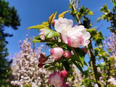 -元大都城垣遗址公园