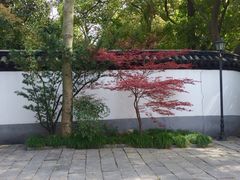 汇龙潭-汇龙潭