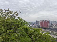 -高尔山公园