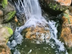 -云溪植物园
