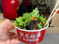 -黑色经典臭豆腐·湖南特产(太平街口店)