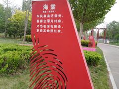 -武清南湖绿博园