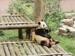 -杭州动物园