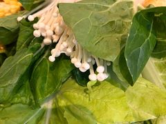 -润园四季椰子鸡火锅(南山海岸城店)