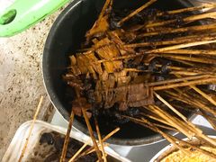 -杨姨老益阳麻辣烫(林科大店)