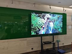 -牛背梁国家森林公园