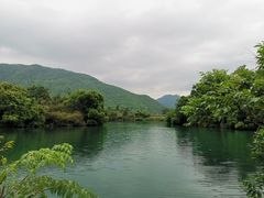 -龙坞茶村