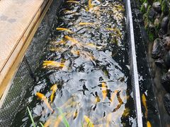 -京北渔家傲