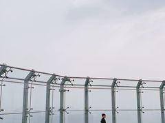 -陕西广播电视塔