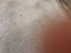-西秀印象(东郡一品店)