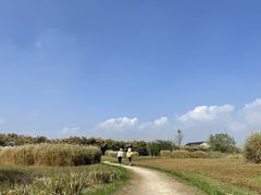 -良渚古城遗址公园