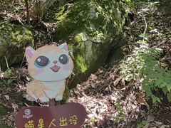 -终南山南五台景区