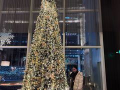 -北京康莱德酒店