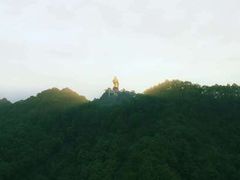 -大金鹰园