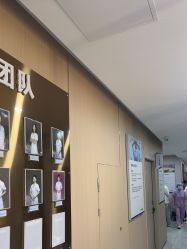 -碧莲盛不剃发植发