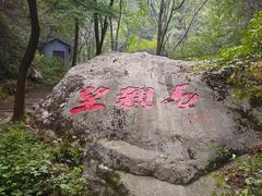 -王顺山国家森林公园