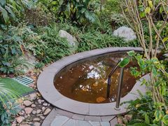 -碧桂园润杨溪谷温泉酒店