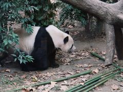 -万达影城(金牛万达广场激光IMAX店)