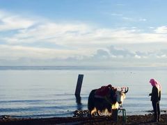 -青海湖国家重点风景名胜区